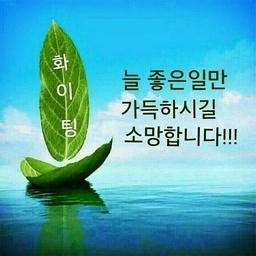 피드에 업로드 된 이미지