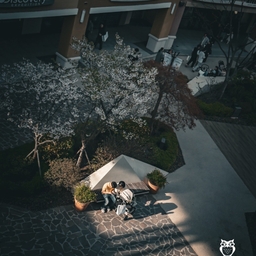 피드에 업로드 된 이미지