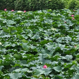 피드에 업로드 된 이미지