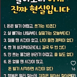 피드에 업로드 된 이미지