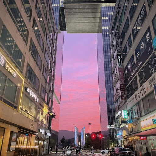 피드 이미지