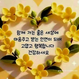 피드에 업로드 된 이미지