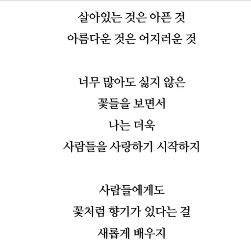 피드 이미지