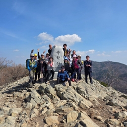 피드에 업로드 된 이미지