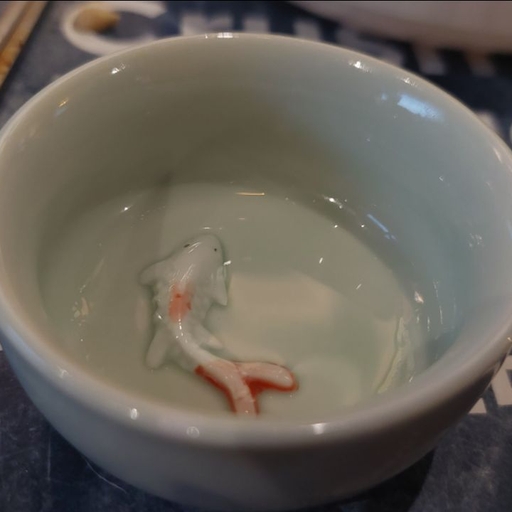 피드 이미지