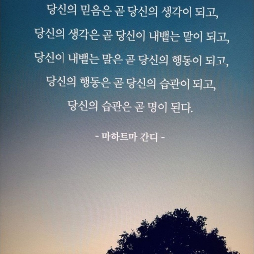 피드 이미지