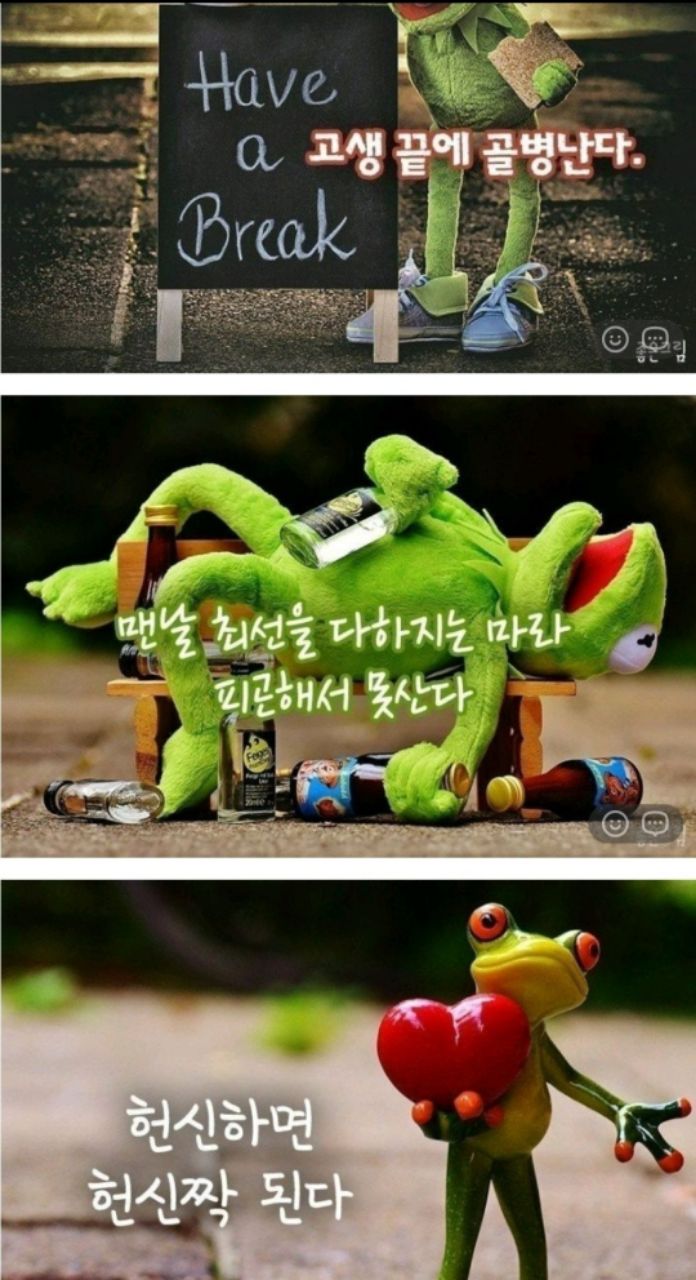 피드 이미지
