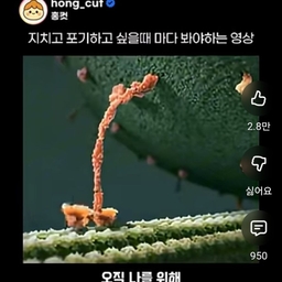 피드에 업로드 된 이미지