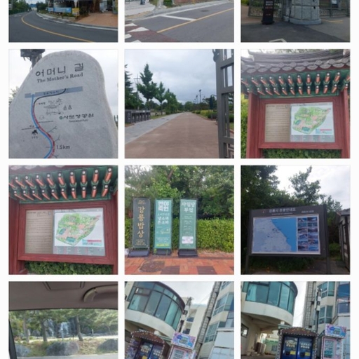피드 이미지