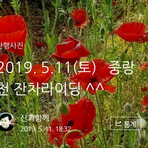 피드 이미지