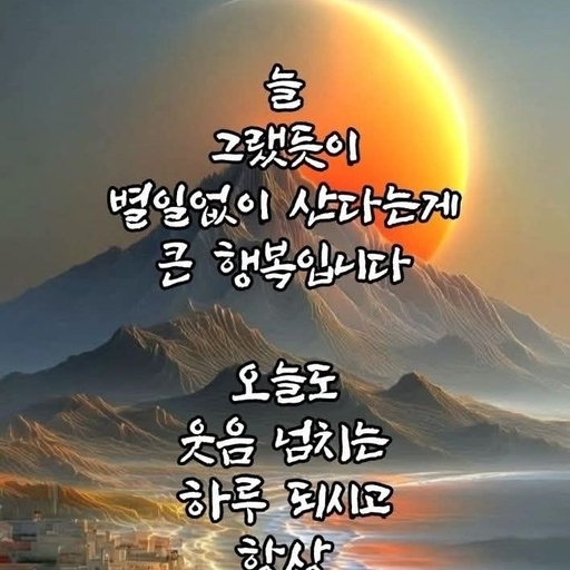 피드 이미지