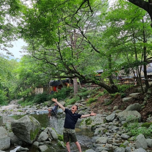 피드 이미지