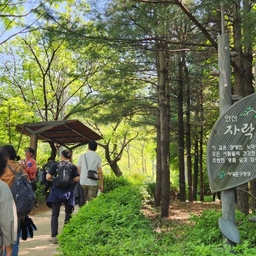 피드에 업로드 된 이미지