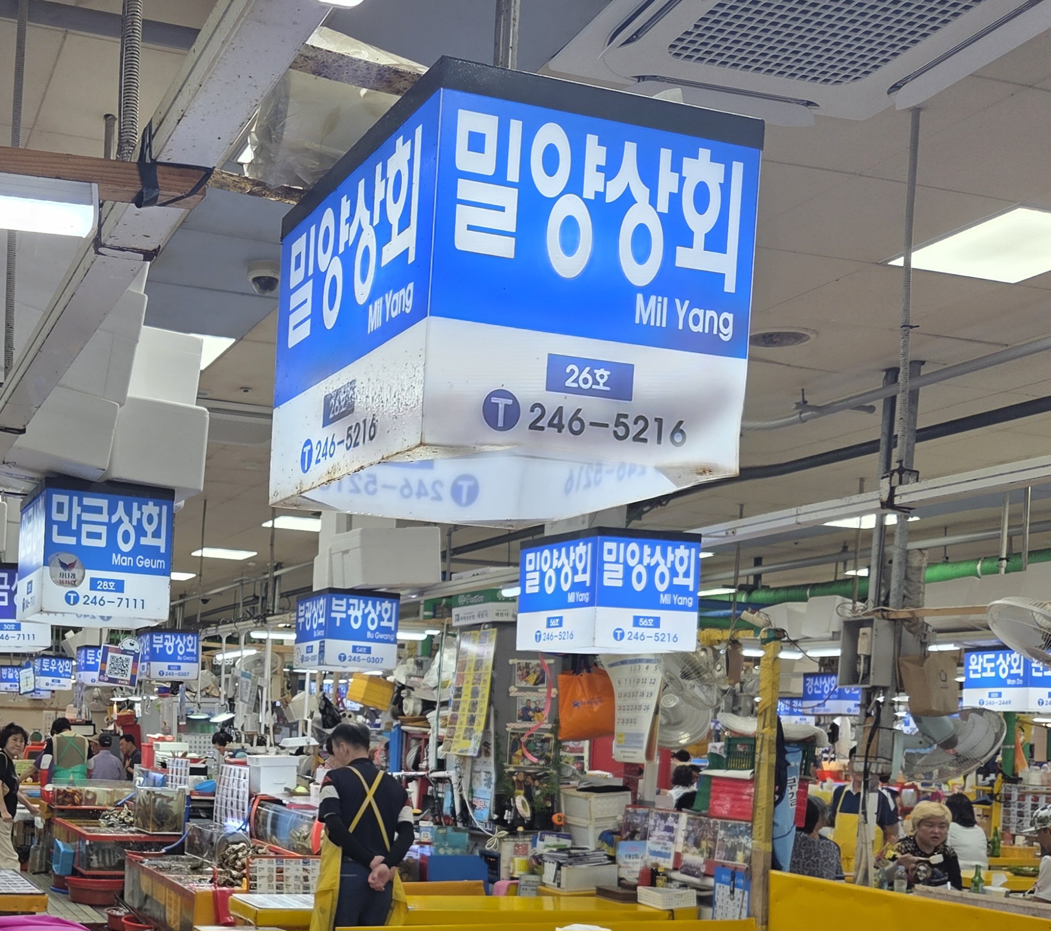 피드에 업로드 된 이미지