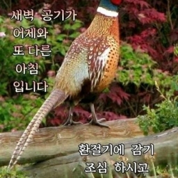 피드에 업로드 된 이미지