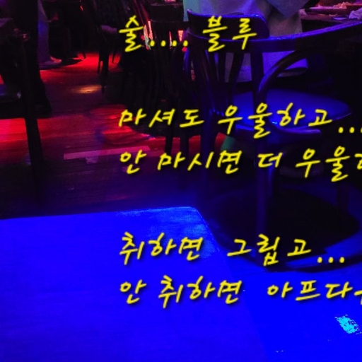 피드 이미지