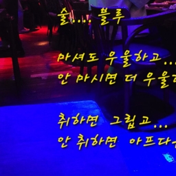 피드에 업로드 된 이미지