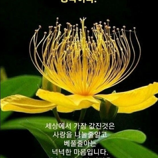 피드 이미지
