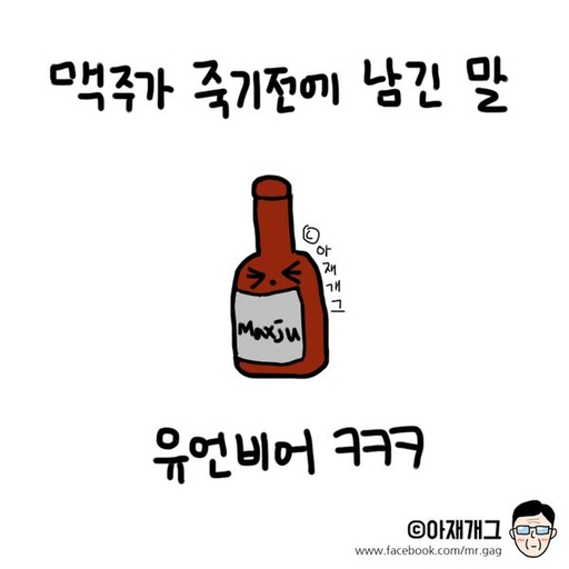 피드 이미지