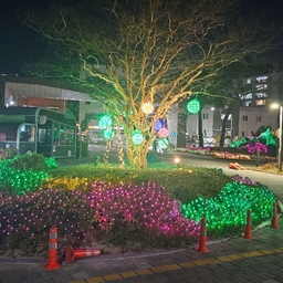 피드에 업로드 된 이미지