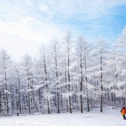 피드에 업로드 된 이미지