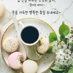 피드에 업로드 된 이미지