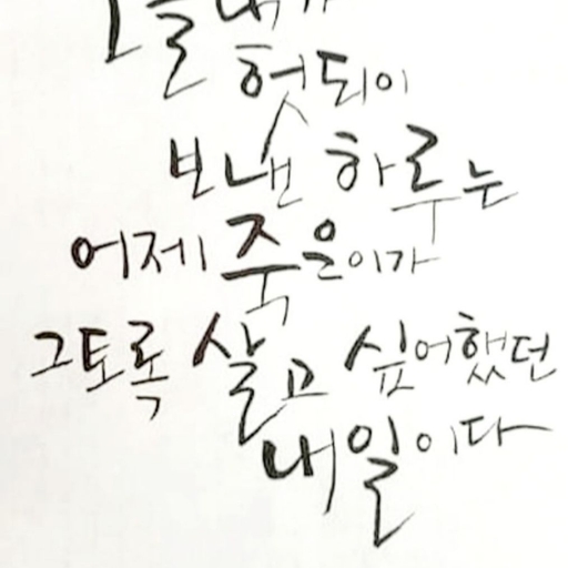 피드 이미지