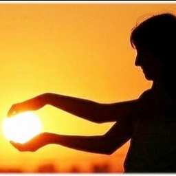 피드에 업로드 된 이미지