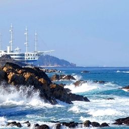 피드에 업로드 된 이미지