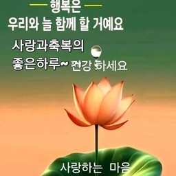 피드에 업로드 된 이미지