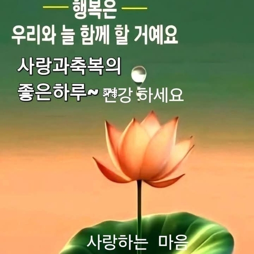 피드 이미지