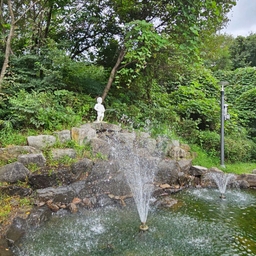 피드에 업로드 된 이미지