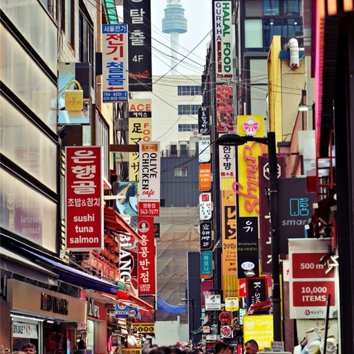 피드 이미지