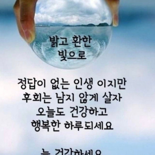 피드 이미지