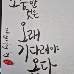 피드에 업로드 된 이미지