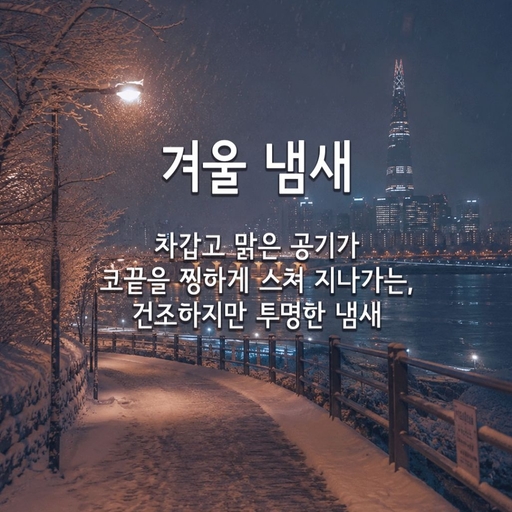 피드 이미지