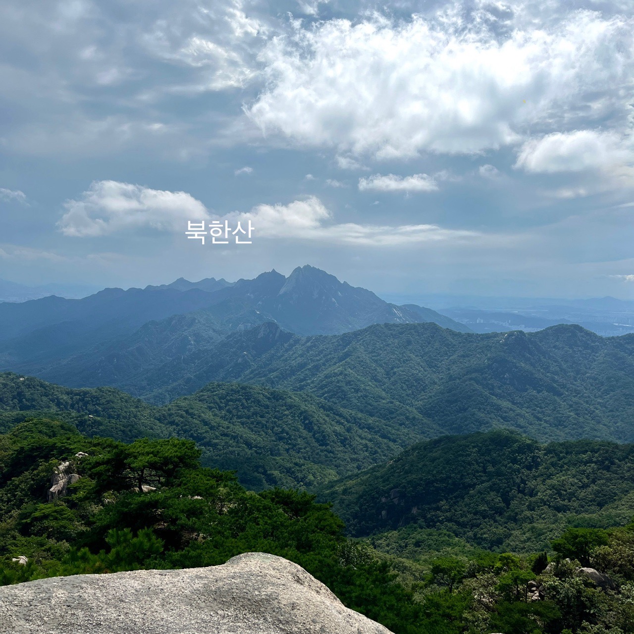 피드 이미지