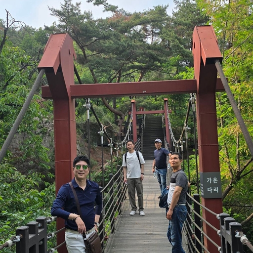 피드 이미지