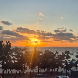 피드에 업로드 된 이미지