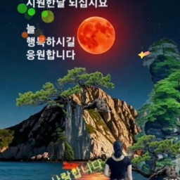 피드에 업로드 된 이미지