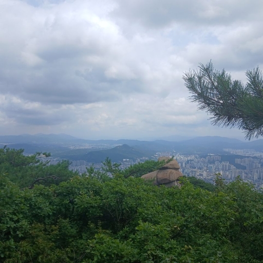 피드 이미지