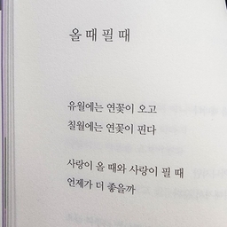 피드에 업로드 된 이미지
