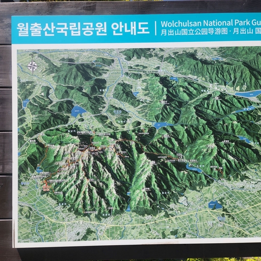 피드 이미지