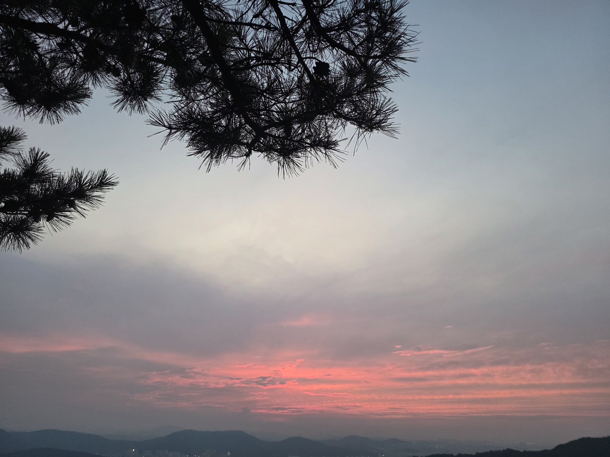 피드 이미지