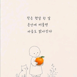 피드에 업로드 된 이미지