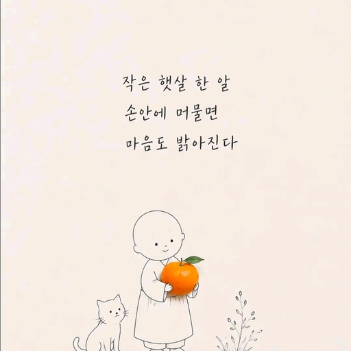 피드 이미지