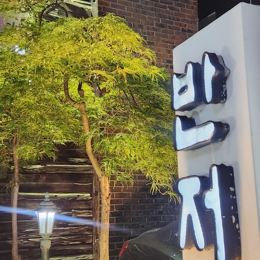 피드 이미지