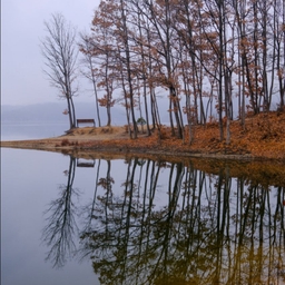피드에 업로드 된 이미지