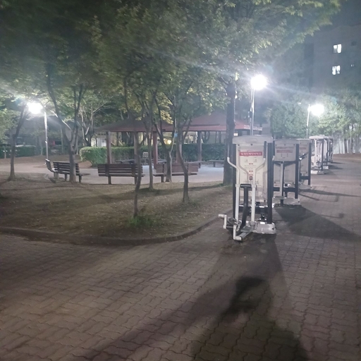 피드 이미지