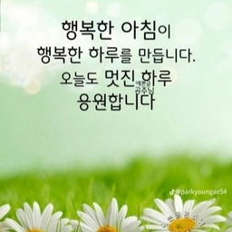 피드에 업로드 된 이미지